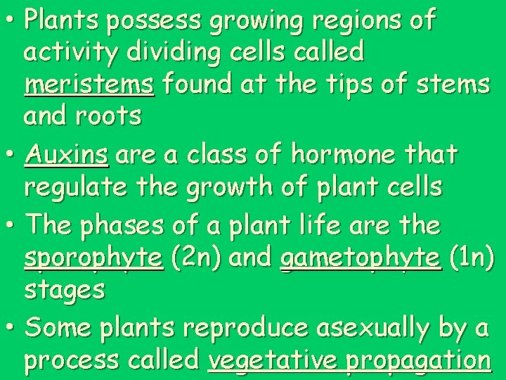  • Plants possess growing regions of activity dividing cells called meristems found at