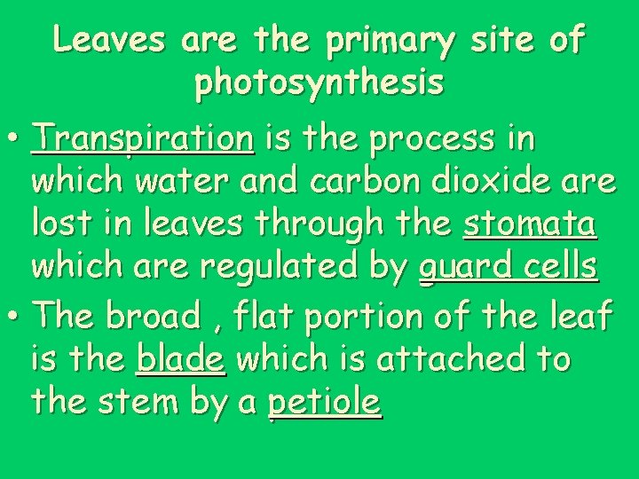 Leaves are the primary site of photosynthesis • Transpiration is the process in which