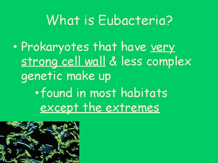 What is Eubacteria? • Prokaryotes that have very strong cell wall & less complex