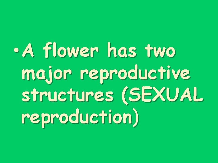  • A flower has two major reproductive structures (SEXUAL reproduction) 