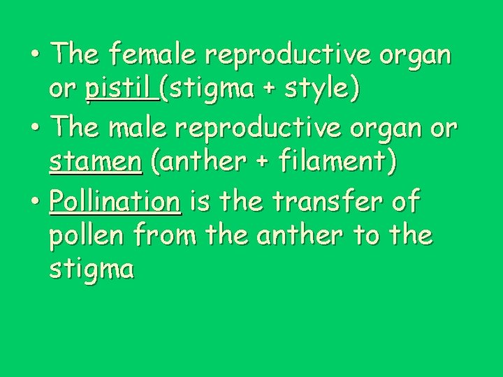  • The female reproductive organ or pistil (stigma + style) • The male