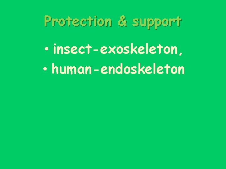 Protection & support • insect-exoskeleton, • human-endoskeleton 