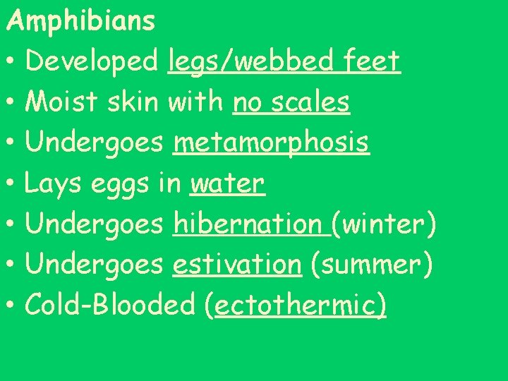 Amphibians • Developed legs/webbed feet • Moist skin with no scales • Undergoes metamorphosis