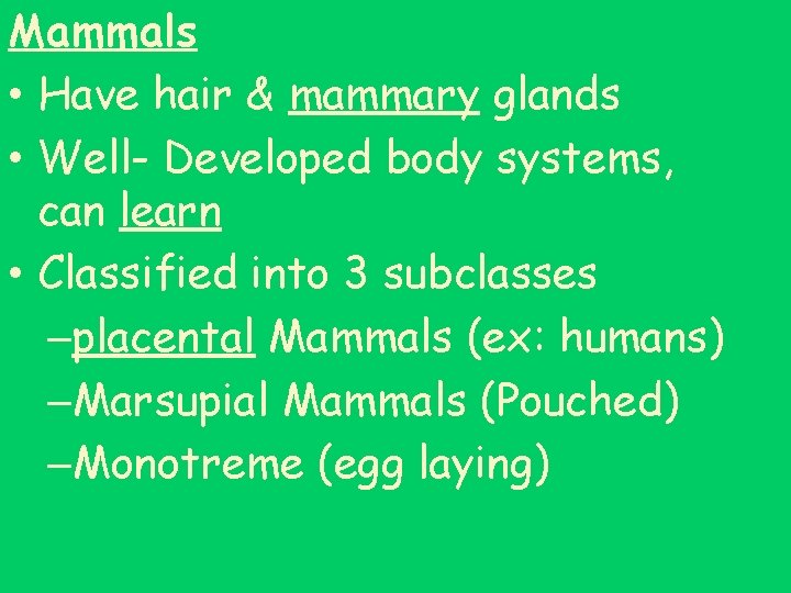 Mammals • Have hair & mammary glands • Well- Developed body systems, can learn