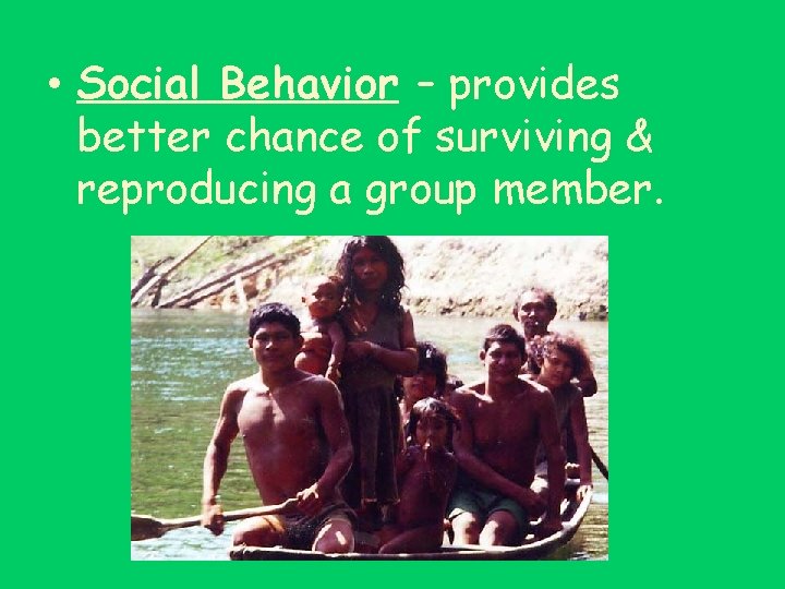  • Social Behavior – provides better chance of surviving & reproducing a group