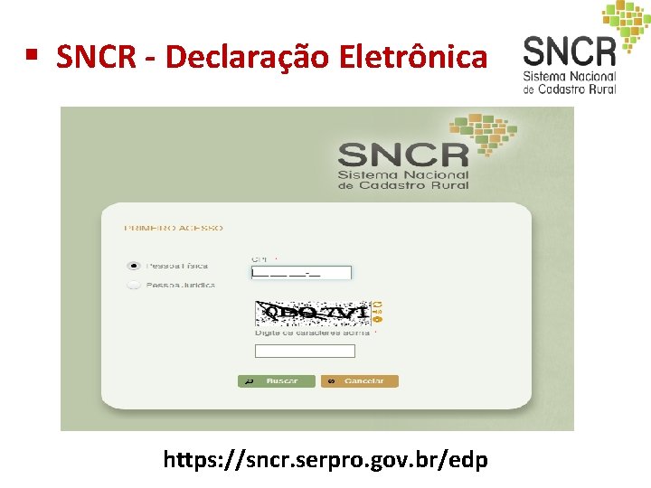 § SNCR - Declaração Eletrônica https: //sncr. serpro. gov. br/edp § SNCR - Declaração Eletrônica https: //sncr. serpro. gov. br/edp