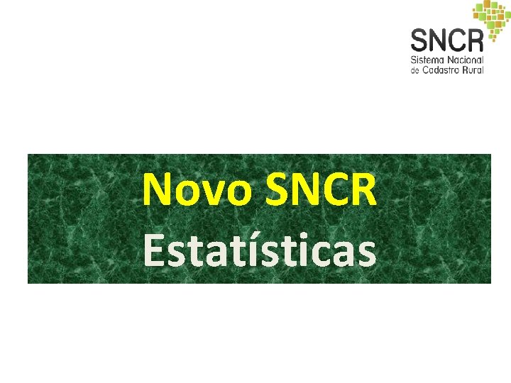 Novo SNCR Estatísticas Novo SNCR Estatísticas