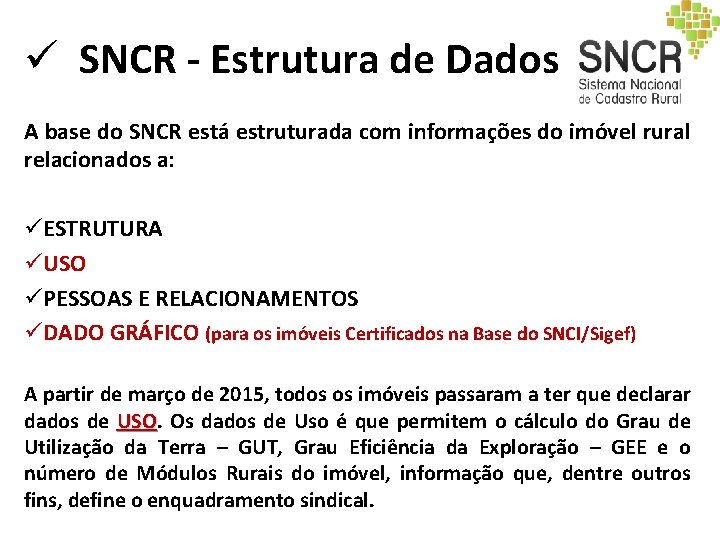 ü SNCR - Estrutura de Dados A base do SNCR está estruturada com informações ü SNCR - Estrutura de Dados A base do SNCR está estruturada com informações