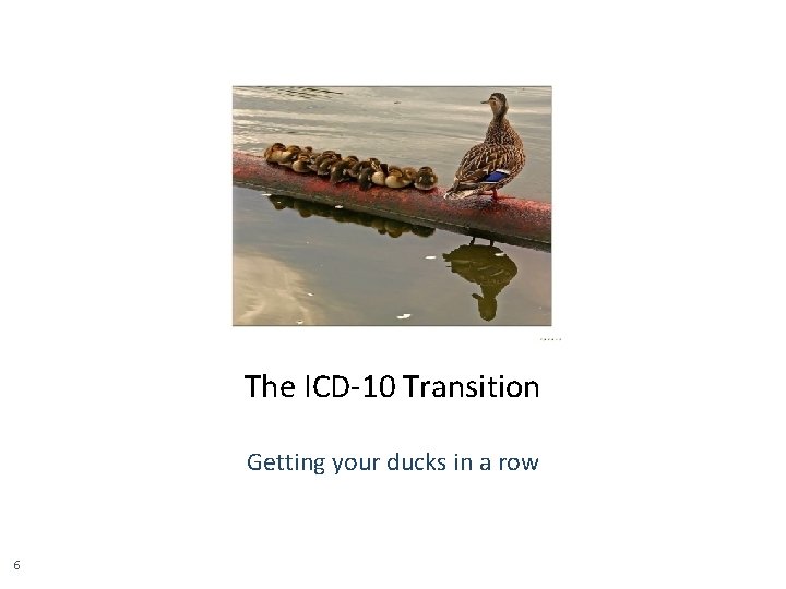 The ICD-10 Transition Getting your ducks in a row 6 