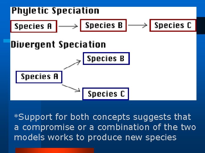 *Support for both concepts suggests that a compromise or a combination of the two