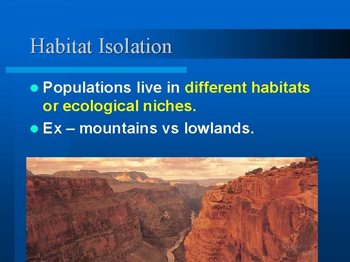 Habitat Isolation l Populations live in different habitats or ecological niches. l Ex –