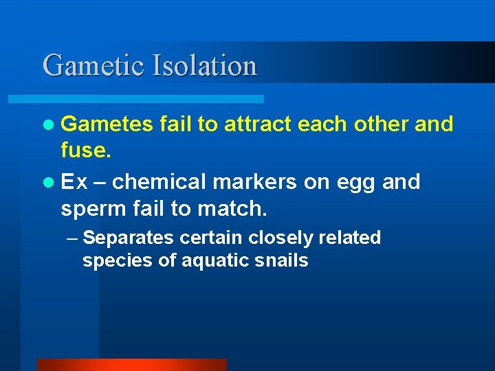 Gametic Isolation l Gametes fail to attract each other and fuse. l Ex –