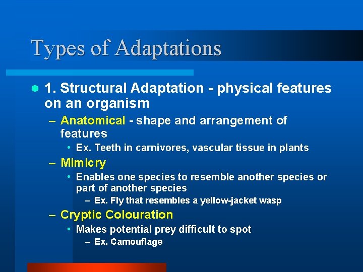 Types of Adaptations l 1. Structural Adaptation - physical features on an organism –