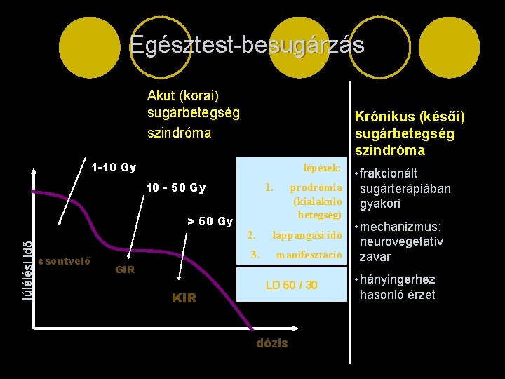 Egésztest-besugárzás Akut (korai) sugárbetegség szindróma Krónikus (késői) sugárbetegség szindróma 1 -10 Gy lépések: 10