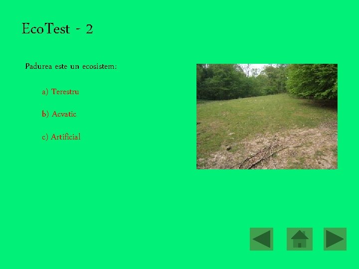 Eco. Test - 2 Padurea este un ecosistem: a) Terestru b) Acvatic c) Artificial