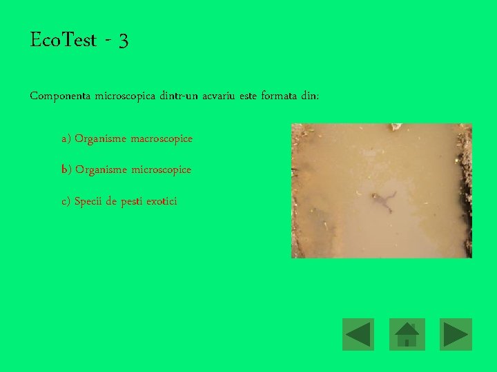 Eco. Test - 3 Componenta microscopica dintr-un acvariu este formata din: a) Organisme macroscopice