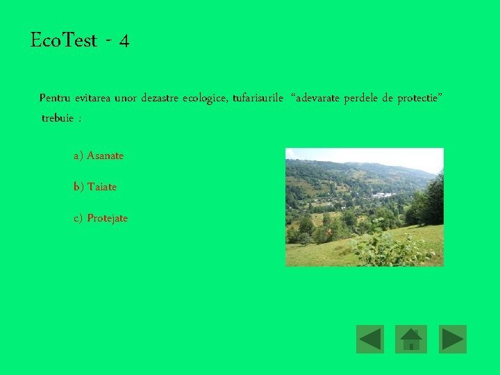 Eco. Test - 4 Pentru evitarea unor dezastre ecologice, tufarisurile “adevarate perdele de protectie”