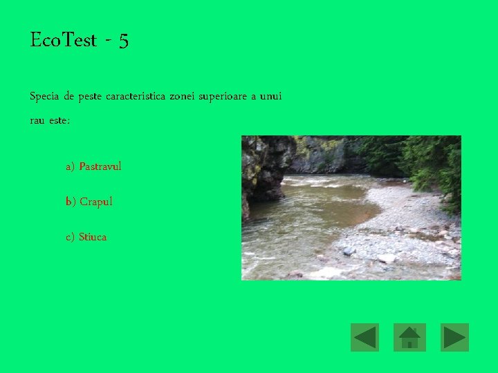 Eco. Test - 5 Specia de peste caracteristica zonei superioare a unui rau este: