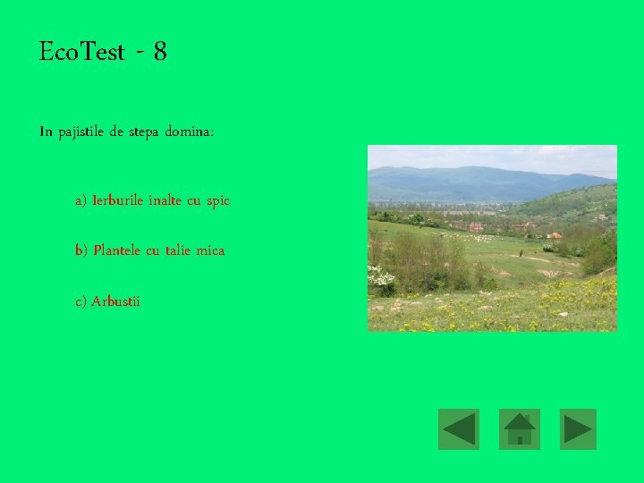 Eco. Test - 8 In pajistile de stepa domina: a) Ierburile inalte cu spic