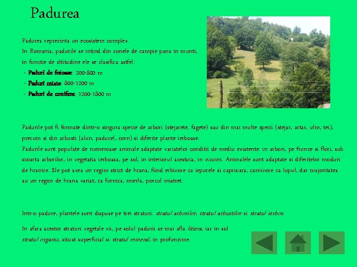 Padurea reprezinta un ecosistem complex. In Romania, padurile se intind din zonele de campie