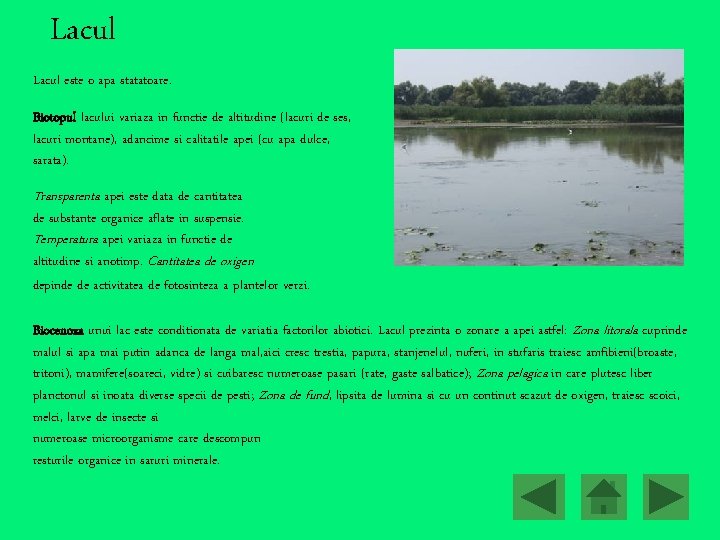Lacul este o apa statatoare. Biotopul lacului variaza in functie de altitudine (lacuri de