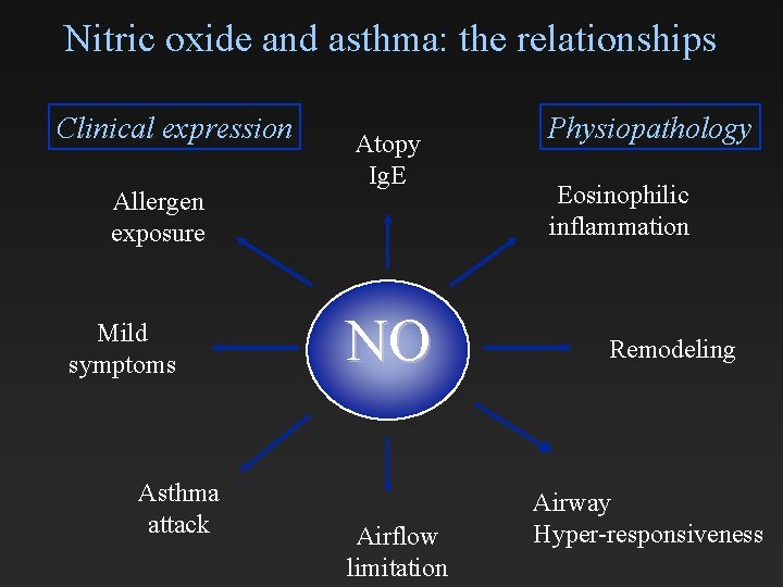 Nitric oxide and asthma: the relationships Clinical expression Allergen exposure Mild symptoms Asthma attack