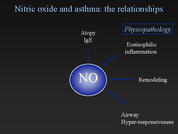 Nitric oxide and asthma: the relationships Atopy Ig. E NO Physiopathology Eosinophilic inflammation Remodeling