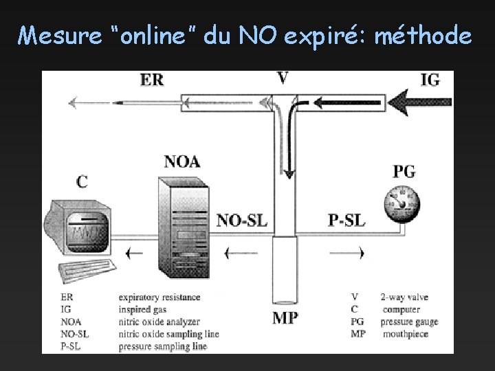 Mesure “online” du NO expiré: méthode Figure 1 ATS 