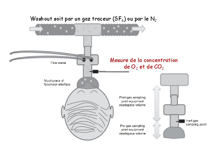 Washout soit par un gaz traceur (SF 6) ou par le N 2 Mesure