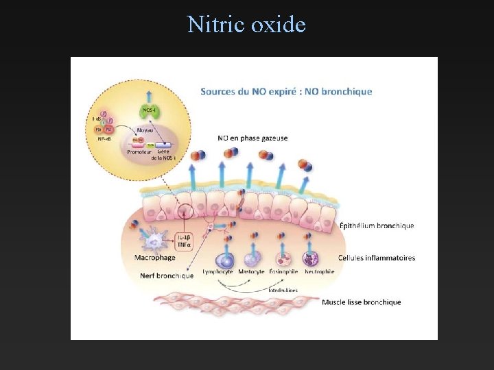 Nitric oxide 