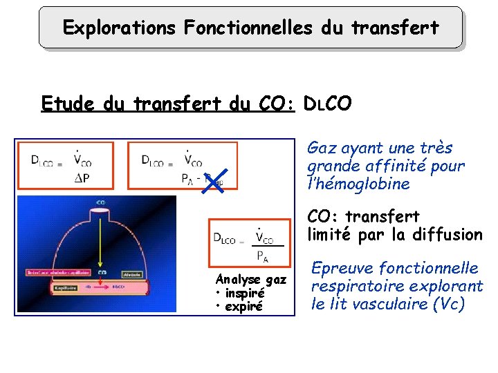 Explorations Fonctionnelles du transfert Etude du transfert du CO: DLCO Gaz ayant une très