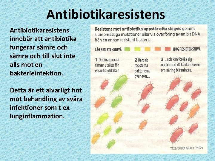 Antibiotikaresistens innebär att antibiotika fungerar sämre och till slut inte alls mot en bakterieinfektion.