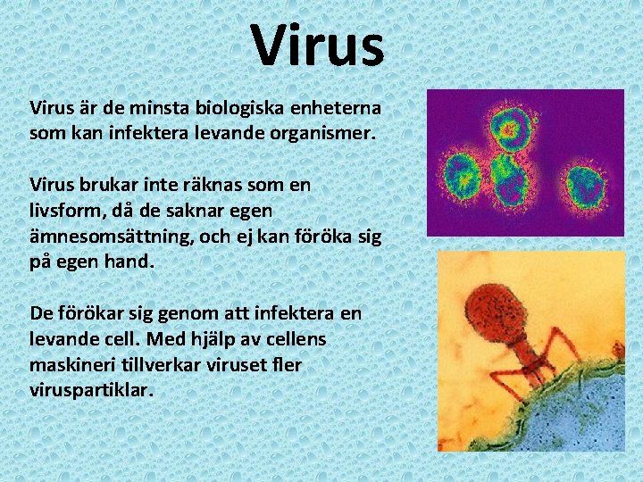 Virus är de minsta biologiska enheterna som kan infektera levande organismer. Virus brukar inte