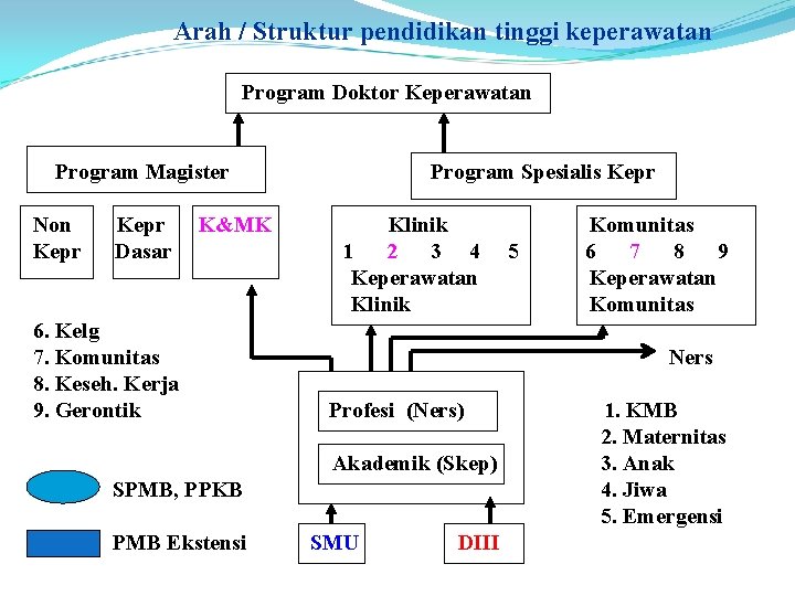 Arah / Struktur pendidikan tinggi keperawatan Program Doktor Keperawatan Program Magister Non Kepr Dasar