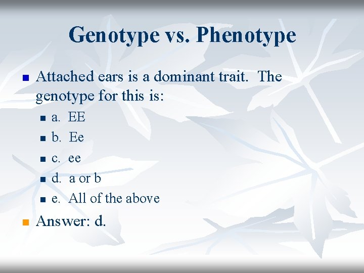 Genotype vs. Phenotype n Attached ears is a dominant trait. The genotype for this