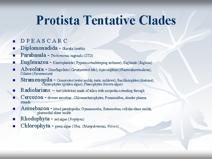 Protista Tentative Clades n D P E A S C A R C Diplomonadida