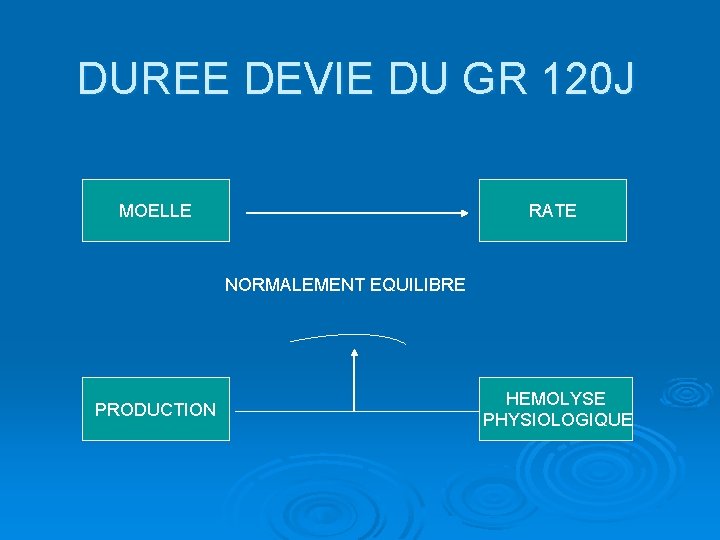 DUREE DEVIE DU GR 120 J MOELLE RATE NORMALEMENT EQUILIBRE PRODUCTION HEMOLYSE PHYSIOLOGIQUE 