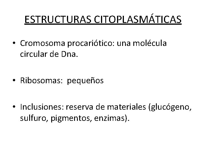 ESTRUCTURAS CITOPLASMÁTICAS • Cromosoma procariótico: una molécula circular de Dna. • Ribosomas: pequeños •