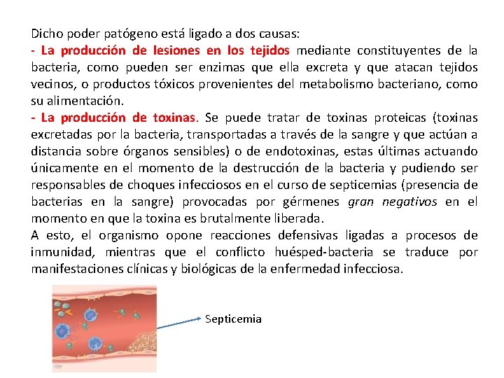 Dicho poder patógeno está ligado a dos causas: - La producción de lesiones en