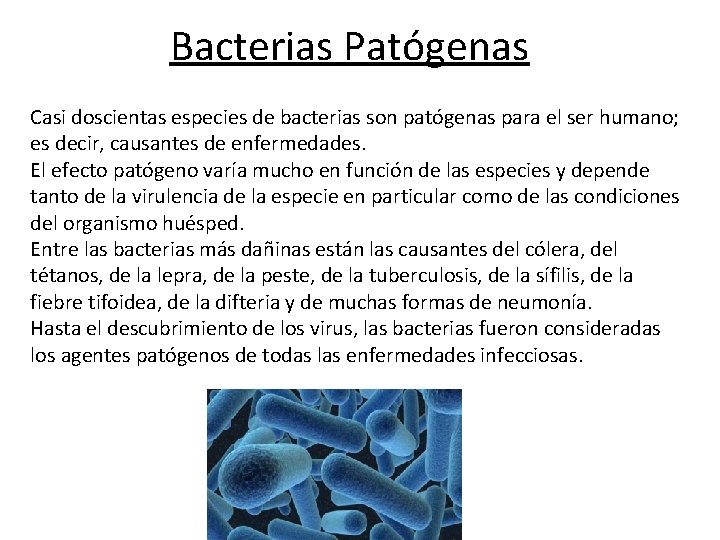 Bacterias Patógenas Casi doscientas especies de bacterias son patógenas para el ser humano; es