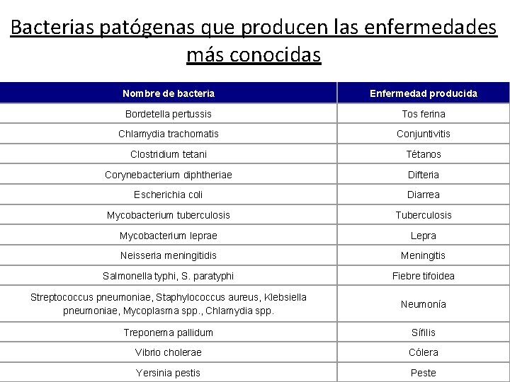 Bacterias patógenas que producen las enfermedades más conocidas Nombre de bacteria Enfermedad producida Bordetella