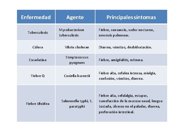 Enfermedad Tuberculosis Agente Mycobacterium tuberculosis Principales síntomas Fiebre, cansancio, sudor nocturno, necrosis pulmonar. Cólera