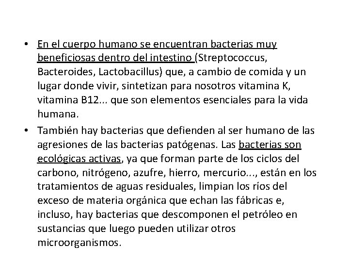  • En el cuerpo humano se encuentran bacterias muy beneficiosas dentro del intestino