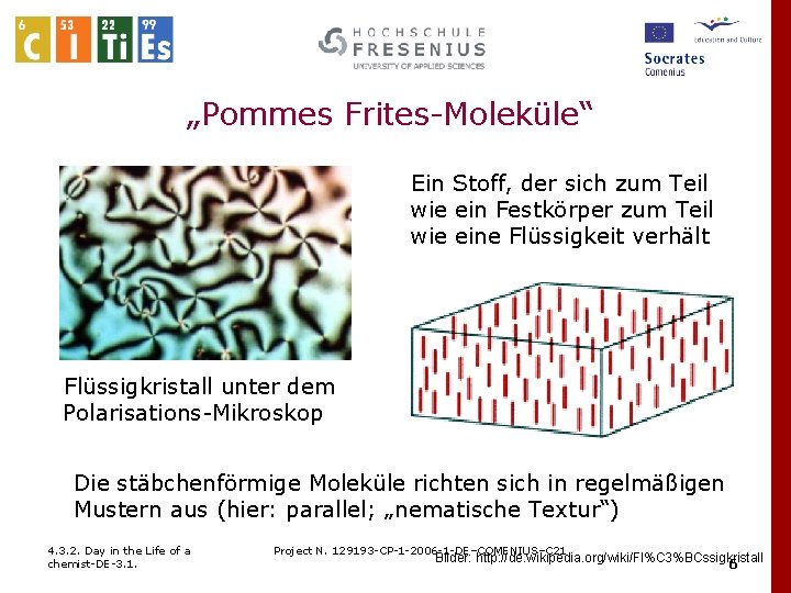 „Pommes Frites-Moleküle“ Ein Stoff, der sich zum Teil wie ein Festkörper zum Teil wie