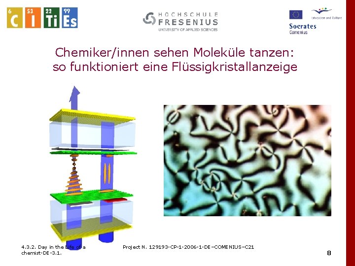 Chemiker/innen sehen Moleküle tanzen: so funktioniert eine Flüssigkristallanzeige 4. 3. 2. Day in the