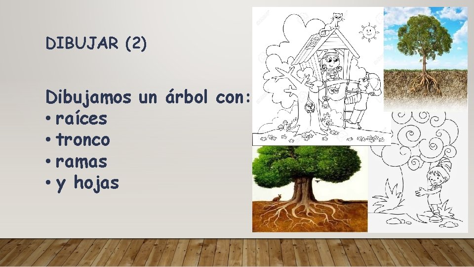 DIBUJAR (2) Dibujamos un árbol con: • raíces • tronco • ramas • y