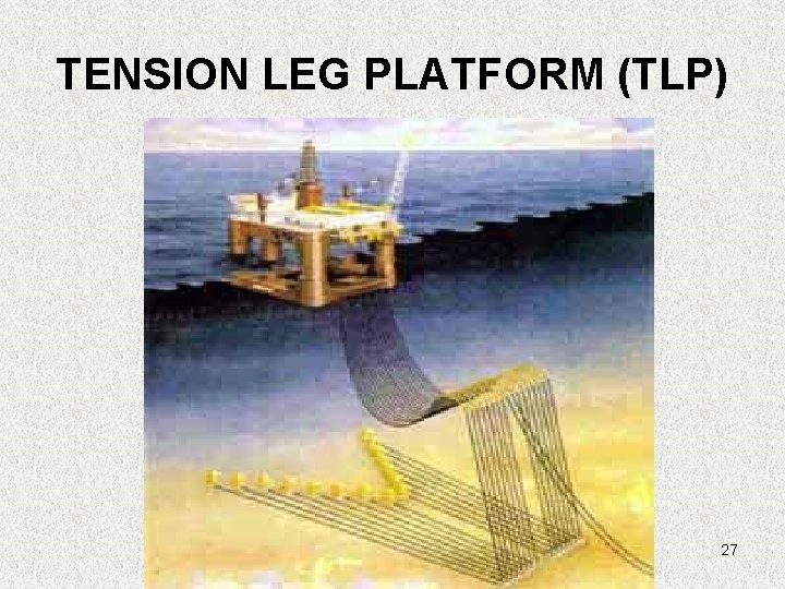 TENSION LEG PLATFORM (TLP) 27 