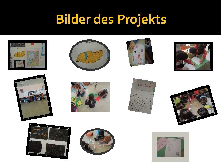 Bilder des Projekts 