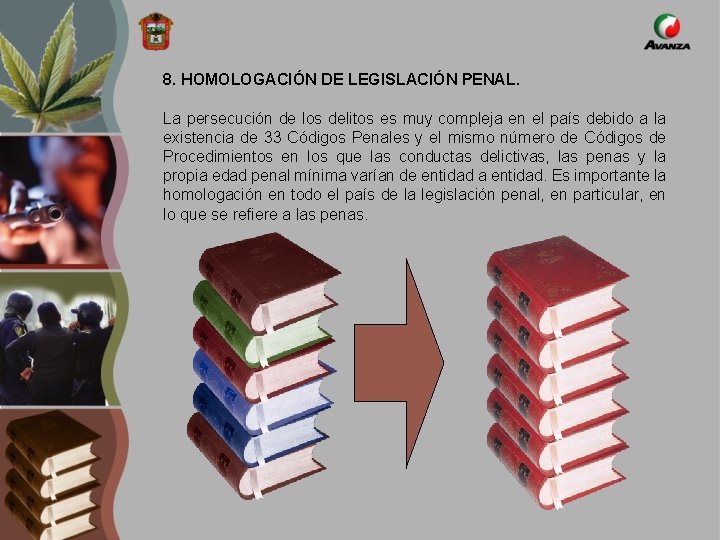 8. HOMOLOGACIÓN DE LEGISLACIÓN PENAL. La persecución de los delitos es muy compleja en