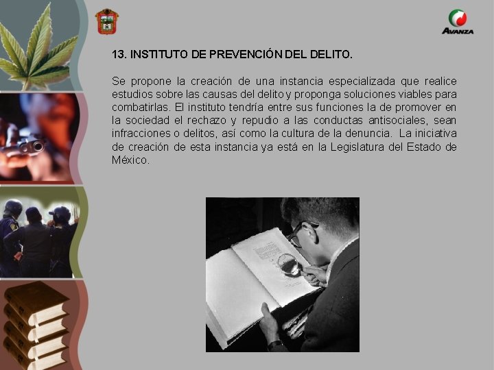 13. INSTITUTO DE PREVENCIÓN DELITO. Se propone la creación de una instancia especializada que